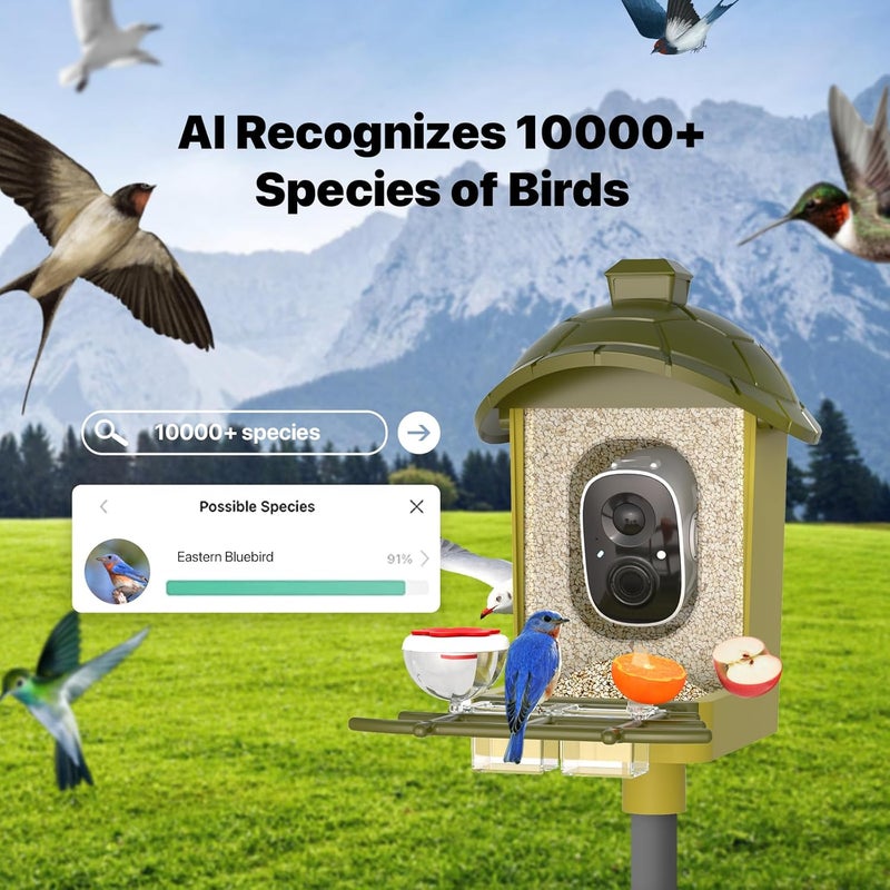 oddkont Smart Bird Feeder with Camera, Bird Feeder Camera 2K HD Record Video Live View with Solar Panel, AI Identify Species Auto Capture, Instant Arrival Alerts, Gift for Birds Lover - Image 2
